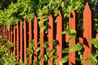 A Guide To Fence Height Regulations
